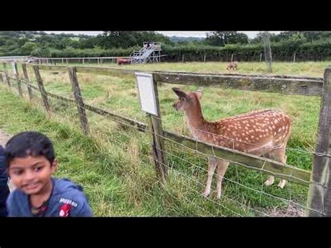 Belmont Children's Farm